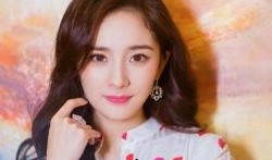 杨幂八卦最新爆料图片大全