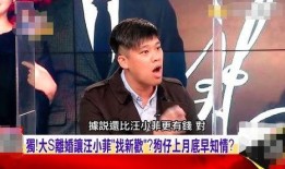 汪小菲爆料视频大全最新,揭秘娱乐圈不为人知的一面
