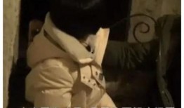 明星回应战争视频爆料